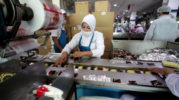 Operator Produksi Pabrik Manufaktur dari PT Paulina Mighty Indonesia